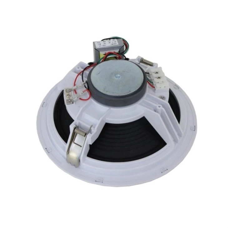 5 Frameless Ceiling Speaker