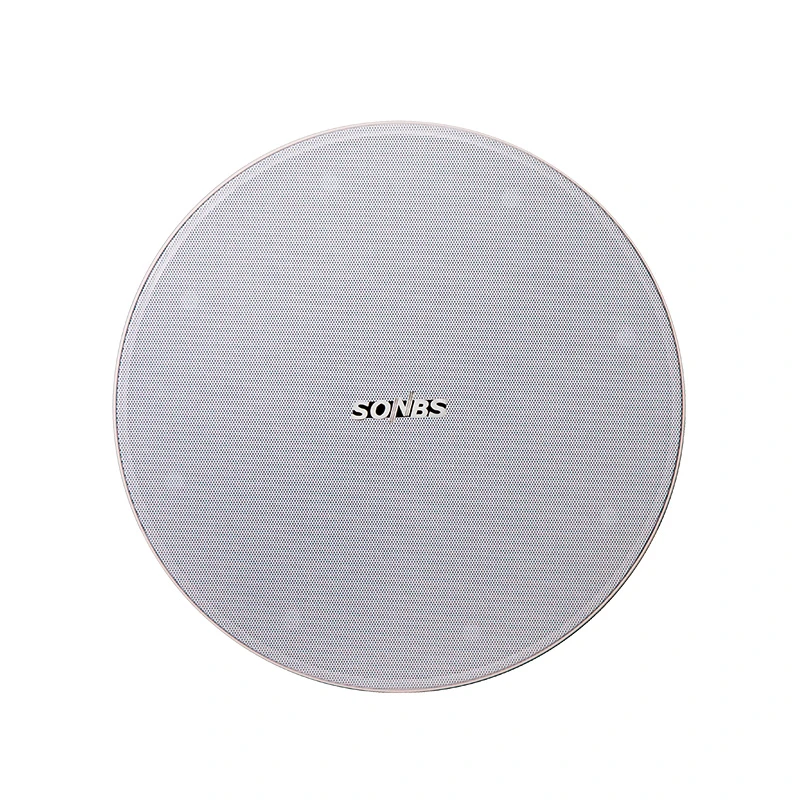 in Ceiling Speaker in Ceiling Speaker