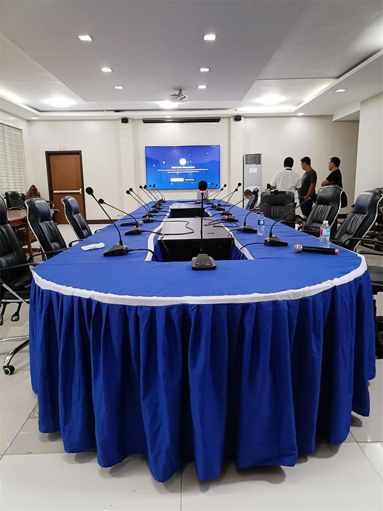 conference mic 3