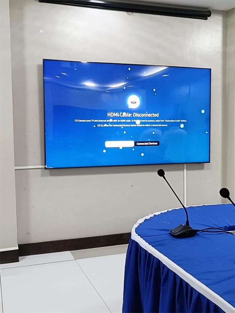 conference mic 2
