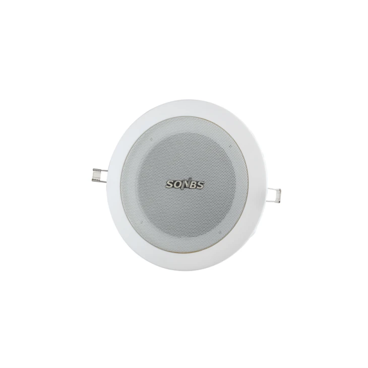 POE Ceiling Speaker